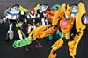 Club Exclusives Cheetor - Image #140 of 141