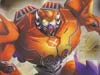 Club Exclusives Rampage - Image #11 of 145