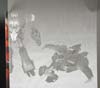 Club Exclusives Rampage - Image #12 of 145