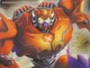 Club Exclusives Rampage - Image #18 of 145