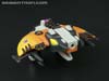 Club Exclusives Seawing - Image #22 of 104