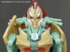 Club Exclusives Trans-Mutate - Image #49 of 116
