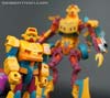 Subscription Service Circuit - Image #135 of 157