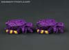 Subscription Service Arachnoids - Image #6 of 45
