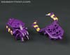 Subscription Service Arachnoids - Image #22 of 45