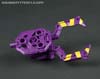 Subscription Service Arachnoids - Image #28 of 45