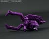 Subscription Service Arachnoids - Image #33 of 45