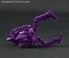 Subscription Service Arachnoids - Image #37 of 45