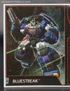 Subscription Service Bluestreak - Image #9 of 109