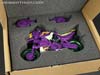 Subscription Service Tarantulas - Image #3 of 169