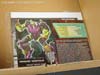Subscription Service Tarantulas - Image #4 of 169