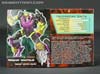 Subscription Service Tarantulas - Image #6 of 169