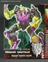 Subscription Service Tarantulas - Image #7 of 169