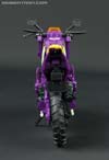 Subscription Service Tarantulas - Image #17 of 169
