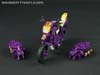 Subscription Service Tarantulas - Image #25 of 169