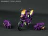 Subscription Service Tarantulas - Image #26 of 169