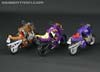 Subscription Service Tarantulas - Image #30 of 169