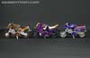 Subscription Service Tarantulas - Image #32 of 169