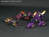 Subscription Service Tarantulas - Image #36 of 169