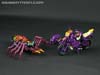 Subscription Service Tarantulas - Image #38 of 169