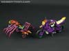 Subscription Service Tarantulas - Image #40 of 169
