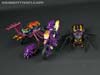Subscription Service Tarantulas - Image #42 of 169