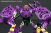 Subscription Service Tarantulas - Image #45 of 169