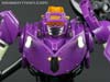 Subscription Service Tarantulas - Image #46 of 169