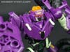 Subscription Service Tarantulas - Image #48 of 169