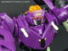 Subscription Service Tarantulas - Image #49 of 169