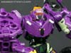 Subscription Service Tarantulas - Image #51 of 169