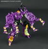 Subscription Service Tarantulas - Image #53 of 169