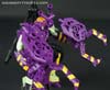 Subscription Service Tarantulas - Image #54 of 169