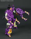 Subscription Service Tarantulas - Image #56 of 169