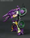 Subscription Service Tarantulas - Image #60 of 169