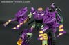 Subscription Service Tarantulas - Image #62 of 169