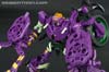 Subscription Service Tarantulas - Image #64 of 169