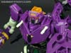 Subscription Service Tarantulas - Image #65 of 169