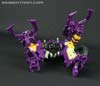 Subscription Service Tarantulas - Image #67 of 169