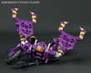Subscription Service Tarantulas - Image #68 of 169