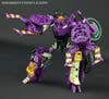Subscription Service Tarantulas - Image #69 of 169
