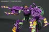 Subscription Service Tarantulas - Image #70 of 169
