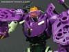 Subscription Service Tarantulas - Image #71 of 169