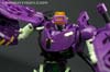 Subscription Service Tarantulas - Image #72 of 169