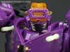 Subscription Service Tarantulas - Image #73 of 169