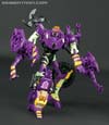 Subscription Service Tarantulas - Image #74 of 169