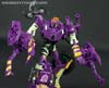 Subscription Service Tarantulas - Image #75 of 169