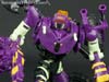 Subscription Service Tarantulas - Image #76 of 169