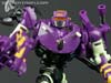 Subscription Service Tarantulas - Image #78 of 169