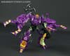 Subscription Service Tarantulas - Image #79 of 169